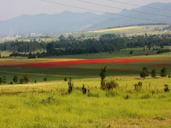Shipka It Hotel Dış mekan fotoğraf