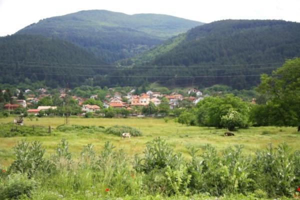 Shipka It Hotel Dış mekan fotoğraf